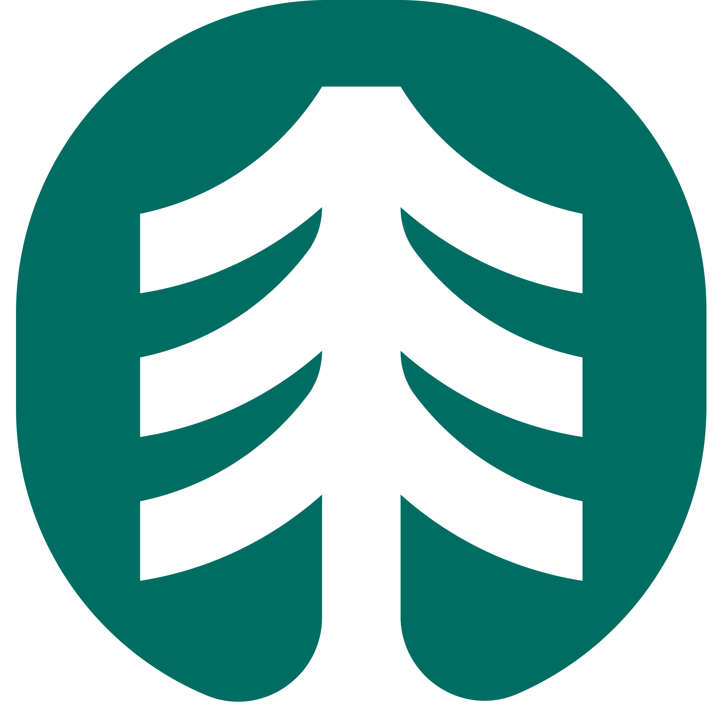 Oliver Lines - Arborist