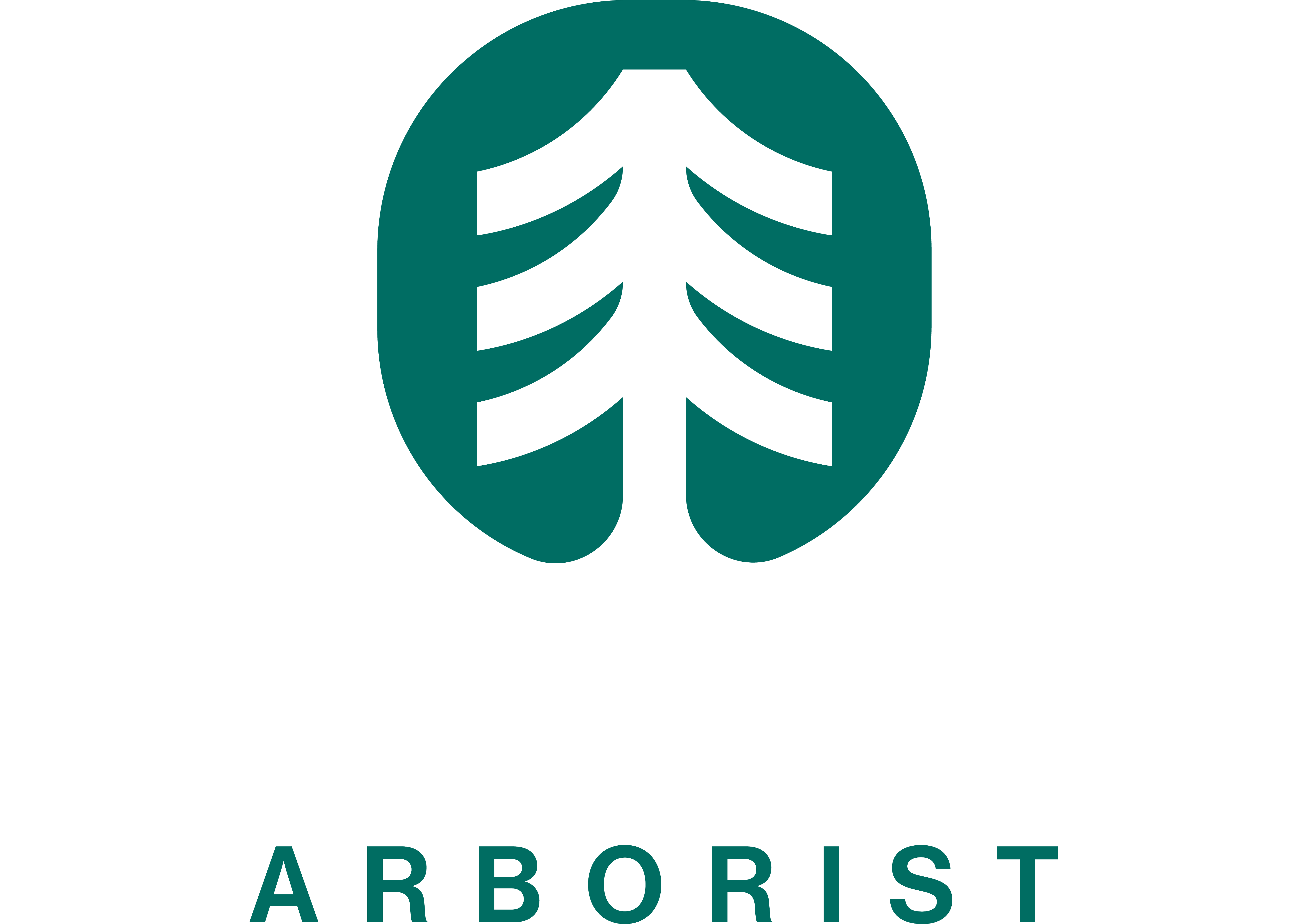 Oliver Lines – Arborist Oliver Lines - Arborist